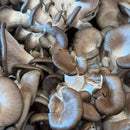 Mushroom Biscuits & Gravy by Luxefly BaseCamp
